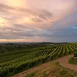 La Casa In Collina 3*