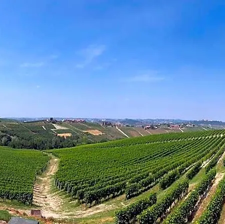 Agriturismo La Casa In Collina Θέρετρο 3*